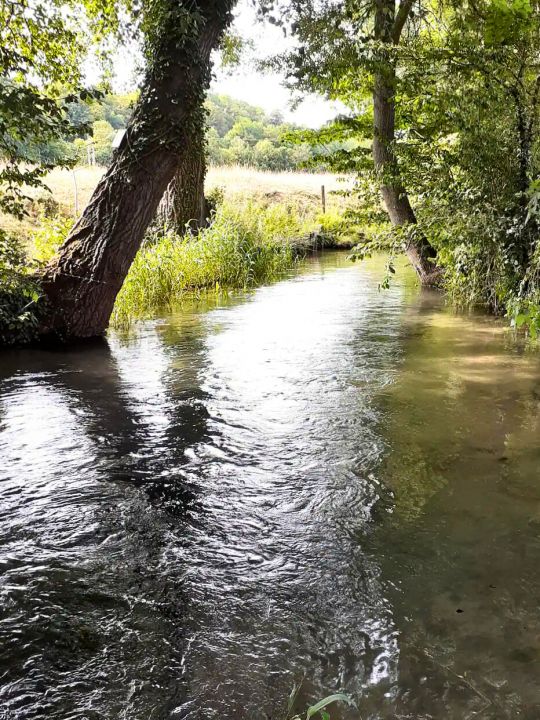 La rivière la Celle La rivière la Celle