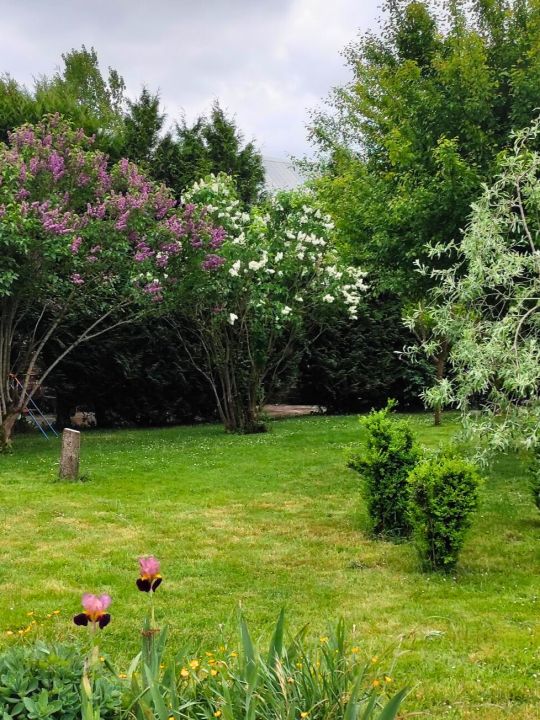 Le Jardin du Moulin — Un espace extérieur comprenant une partie en herbe, la terrasse devant le gîte, le terrain de pétanque et le parking, pour profiter du Moulin en plein air. Le Jardin du Moulin — Un espace extérieur comprenant une partie en herbe, la terrasse devant le gîte, le terrain de pétanque et le parking, pour profiter du Moulin en plein air.